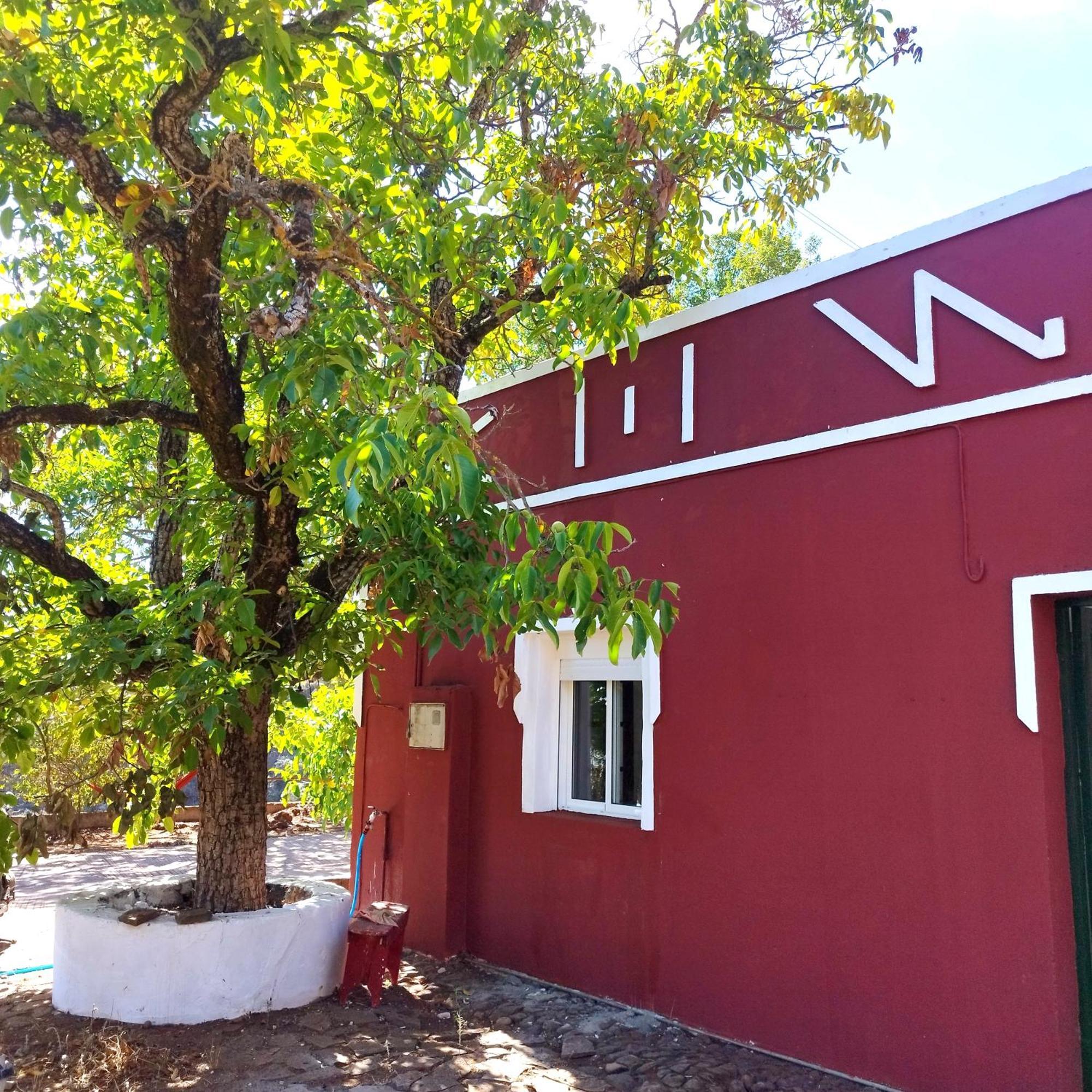 Ostello La Casita Vega de San Mateo Esterno foto